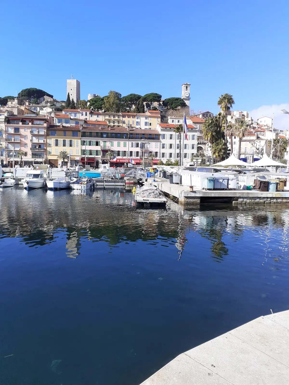 Le Suquet vu du Vieux-Port de Cannes